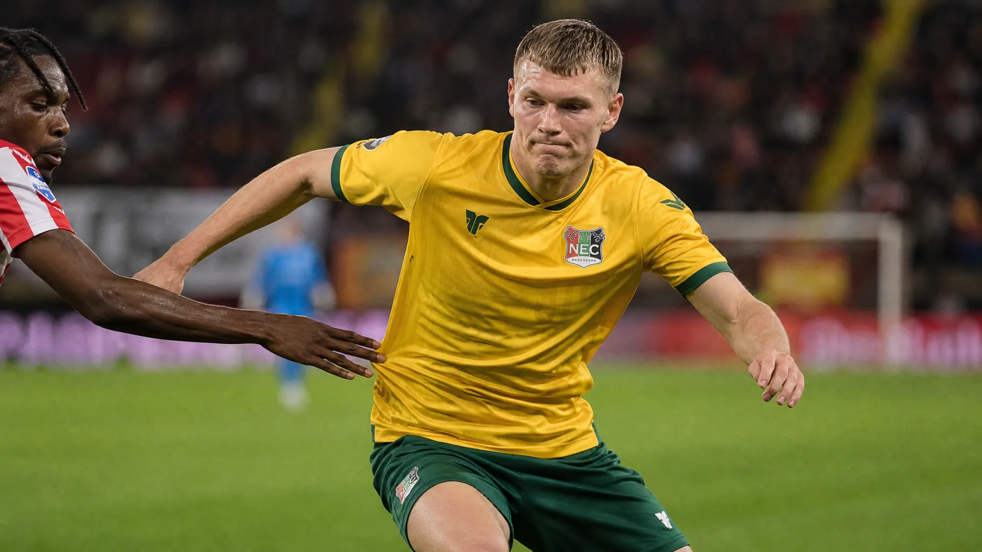 Perr Schuurs transfer news: NEC talks after Torino exit